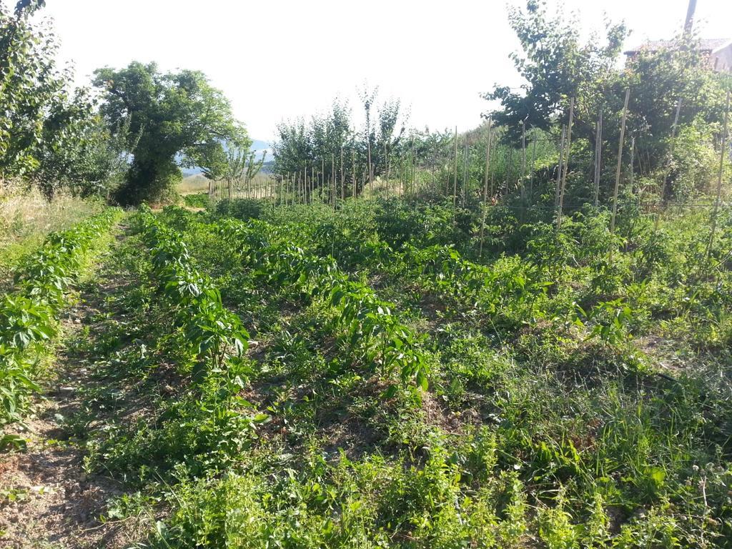 Agriturismo Eutopia San Leo Luaran gambar
